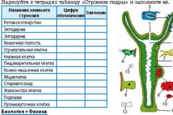 Ссылка в даркнет