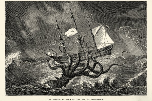 Kraken place